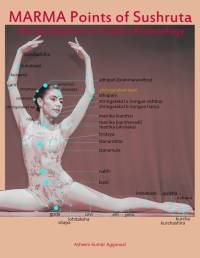 Marma Points of Sushruta the foundation of Modern Kinesiology av Ashwini Kumar Aggarwal