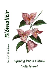 Blómalitir av David E. McAdams