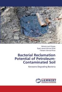 Bacterial Reclamation Potential of Petroleum-Contaminated Soil av Muhammad Waqas