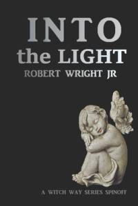 Into the Light av Robert Wright