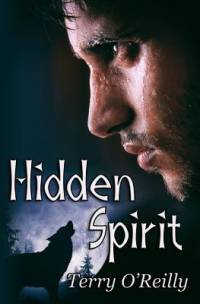 Hidden Spirit av Terry O'Reilly