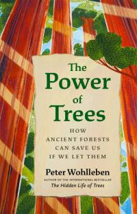The Power of Trees av Peter Wohlleben