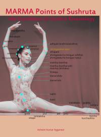Marma Points of Sushruta the foundation of Modern Kinesiology av Ashwini Kumar Aggarwal