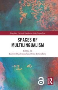 Spaces of Multilingualism av Robert Blackwood