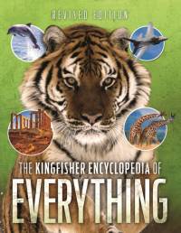 KINGFISHER ENCY OF EVERYTHING av Sean Callery