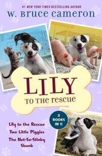 Lily to the Rescue Bind-Up Books 1-3: Lily to the Rescue, Two Little Piggies, and the Not-So-Stinky Skunk av W. Bruce Cameron
