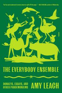The Everybody Ensemble: Donkeys, Essays, and Other Pandemoniums av Amy Leach