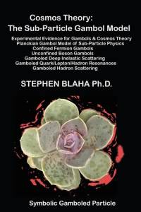 Cosmos Theory av Stephen Blaha