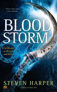 Harper, S: BLOOD STORM av Steven Harper