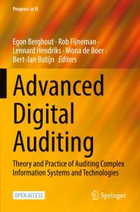 Advanced Digital Auditing av Egon Berghout
