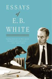 Essays of E. B. White av E B White