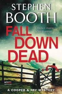Fall Down Dead av Stephen Booth