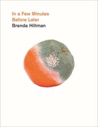 In a Few Minutes Before Later av Brenda Hillman