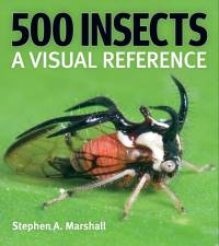 500 Insects: A Visual Reference av Stephen A Marshall