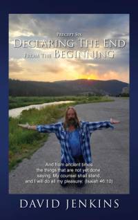 Precept six; Declaring The End From The Beginning av David Jenkins