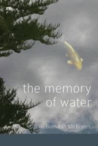 The Memory of Water av Brendan McBreen