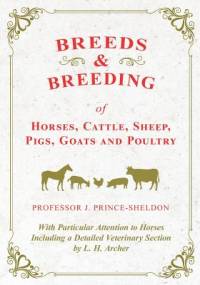 Breeds and Breeding of Horses, Cattle, Sheep, Pigs, Goats and Poultry - With Particular Attention to Horses Including a Detailed Veterinary Section by L. H. Archer av Various.