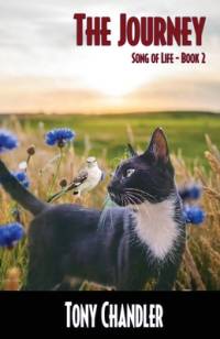 The Journey (Song of LIfe - Book 2) av Tony Chandler