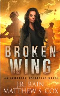 Broken Wing av Matthew S Cox