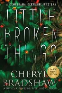Little Broken Things, Large Print Edition av Cheryl Bradshaw