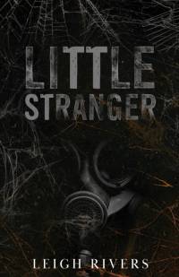 Little Stranger av Leigh Rivers
