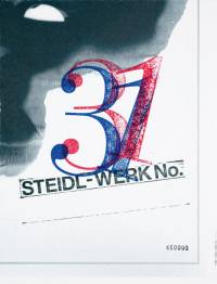 STEIDL-WERK No.31: GHOSTS IN THE MACHINE av Theseus Chan