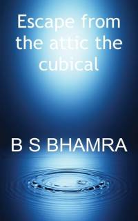 Escape from the attic the cubical av B S Bhamra