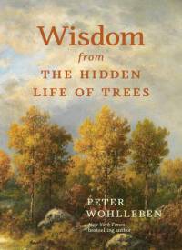 Wisdom From The Hidden Life of Trees av Peter Wohlleben