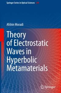 Theory of Electrostatic Waves in Hyperbolic Metamaterials av Afshin Moradi