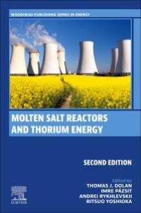 Molten Salt Reactors and Thorium Energy av Thomas James Dolan