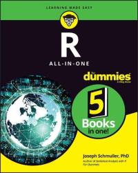 R All-In-One for Dummies av Joseph Schmuller
