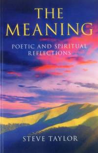 The Meaning av Steve Taylor
