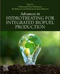 Advances in Hydrotreating for Integrated Biofuel Production av Mohammad Reza Rahimpour