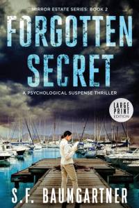 Forgotten Secret (Large Print) av S. F. Baumgartner