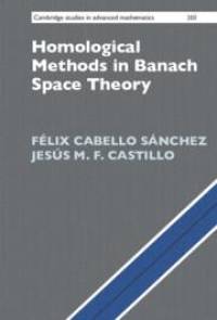 Homological Methods in Banach Space Theory av Félix Cabello Sánchez