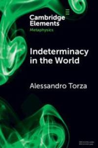 Indeterminacy in the World av Alessandro Torza