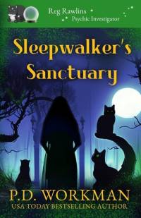 Sleepwalker's Sanctuary av P D Workman