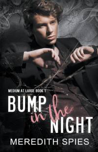 Bump in the Night av Meredith Spies