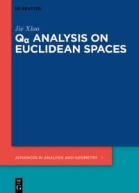 Q Analysis on Euclidean Spaces av Jie Xiao