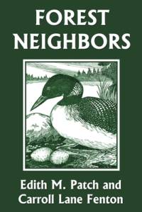 Forest Neighbors (Yesterday's Classics) av Edith M. Patch