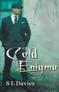 Cold Enigma av S L Davies