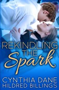 Rekindling the Spark av Hildred Billings