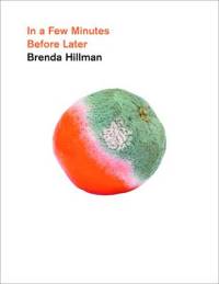 In a Few Minutes Before Later av Brenda Hillman