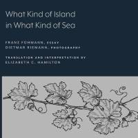 What Kind of Island in What Kind of Sea? av Franz Fuhmann