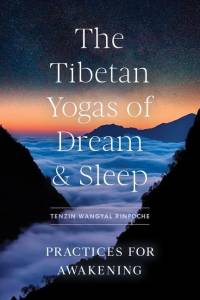 The Tibetan Yogas of Dream and Sleep: Practices for Awakening av Tenzin Wangyal