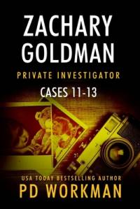 Zachary Goldman Private Investigator Cases 11-13 av P D Workman