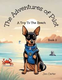 The Adventures of Pilot av Jim Carter