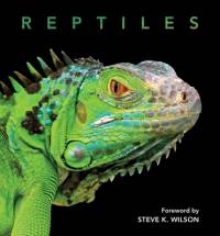 Reptiles av Steve Wilson