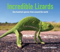 Incredible Lizards av Steve Wilson