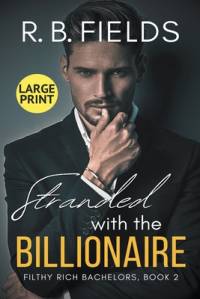 Stranded with the Billionaire av R B Fields